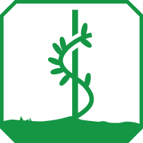 Tipologia Pianta: ARBUSTO RAMPICANTE